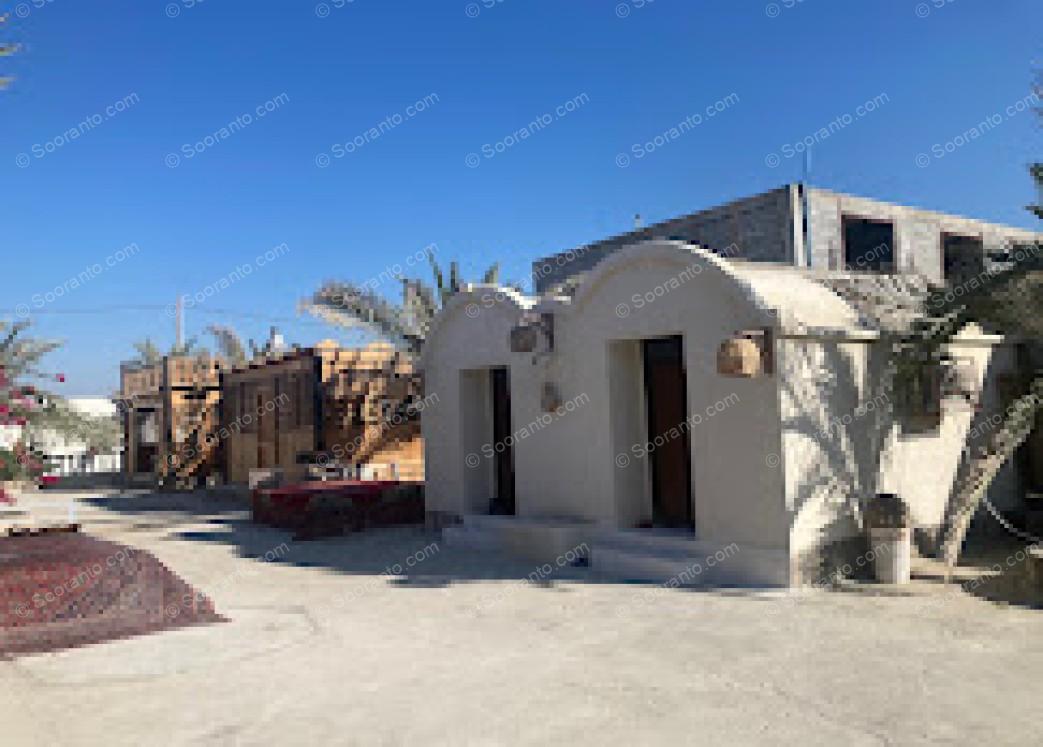 مجوعه نخل پگروم 