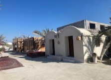 نخل پگروم قشم